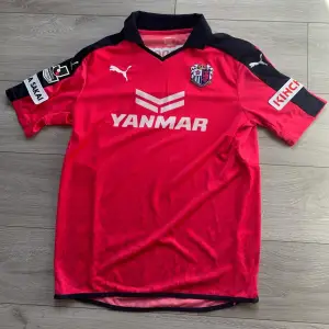 machado christophe