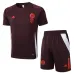 Bayern Munich 2024/25 brown training jersey and shorts