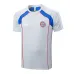 Bayern Munich 2025/26 Training Jersey + Shorts - Gray
