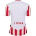 Camiseta Colonia Carnaval 2024/25 - Fan