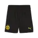 BVB Borussia Dortmund 2024/25 Camiseta Niño Réplica - Neon