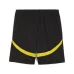 2024/25 Borussia Dortmund Heim - Shorts Fan - Edition (Schwarz)