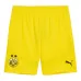 2024/25 Borussia Dortmund Auswärts - Shorts Fan - Edition (Gelb)