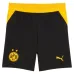 BVB Dortmund BRANDT 2026/27 Home Kids Kit