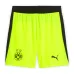 Dortmund 2025/26 Away Kids Kit Set - Grey/Green