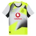 Dortmund JOBE 2025/26 Away Jersey - Grey/Green