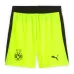Dortmund JOBE 2025/26 Kids Away Kit - Grey/Green