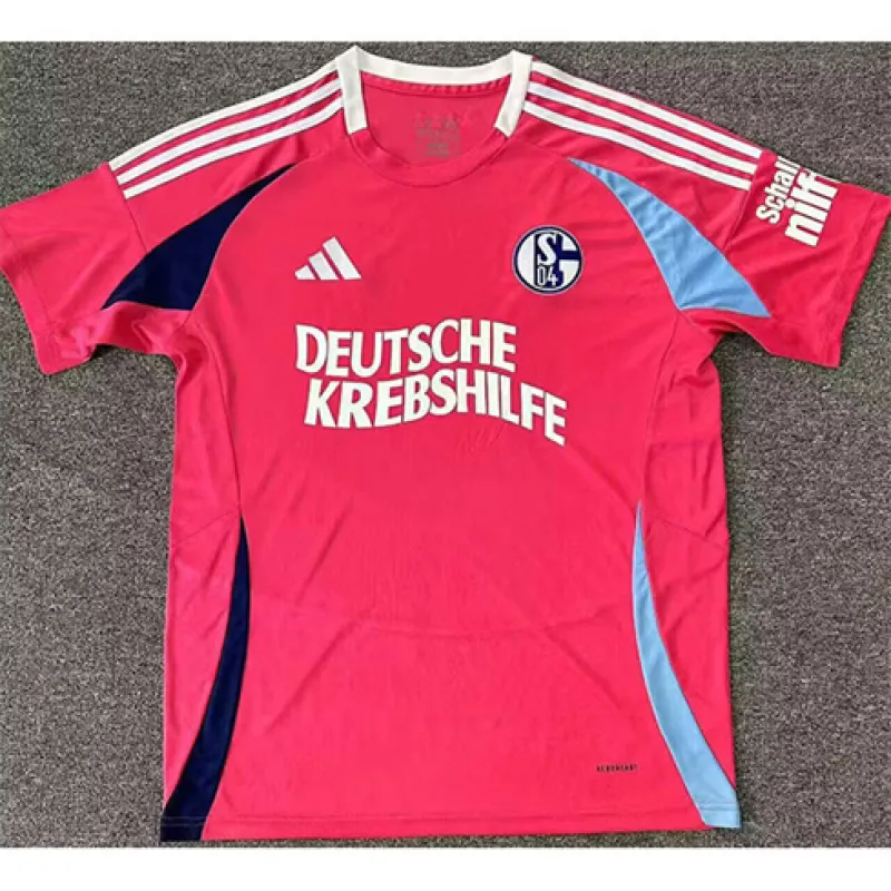 Schalke 04 Special Edition Shirt 2024/25 - Fan