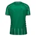 Werder Bremen Home Trikot 2025/26 MATCH