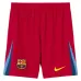 Barcelone PEDRI 2025/26 Ensemble Enfant Quatrième Maillot - Bleu/Rouge