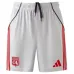 Lyon 2025/26 Third Shorts - Gray