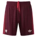 Lyon 2026/27 Away Shorts