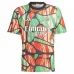 Maglia di allenamento di Arsenal 2024/25 - Versione per tifosi (Multicolore)