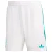 Liverpool WIRTZ 2025/26 Third Kids Kit - Green