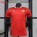 Camiseta de entrenamiento de los jugadores de Manchester United 2024/25 - Negro/Rojo​