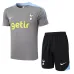 Tottenham Hotspur 2024/25 Training Jersey + Shorts - Gray