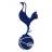 Tottenham Hotspur Image