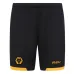 Wolves Kids Kit Set 2025/26 Home - Yellow