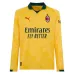 Terza maglia a maniche lunghe AC Milan 2025/26