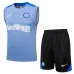 Inter Mailand 2024/25 Trainingsset Shorts und Tanktop Grau