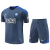 Camisa de entrenamiento + pantalones cortos del Inter Milan 2024/25 - mayorista - gris