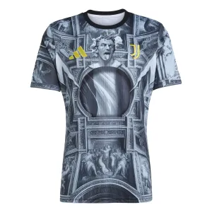 Juventus 2025/26 Del Piero Pre-Match Trikot - Grau