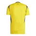 Al Nassr 2024/25 Home Jersey - Yellow