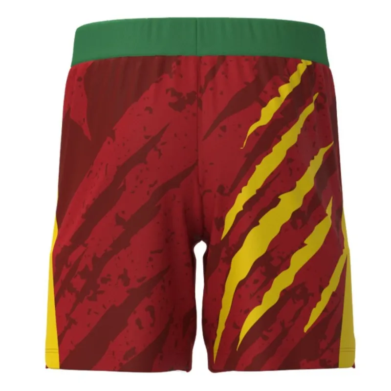 Camerun Bambini 2025/26 Kit di casa - Verde
