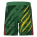 Cameroon 2025/26 Away Shorts - Green