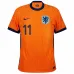 La camiseta local de los Países Bajos 2024/25 de Gakpo - naranja