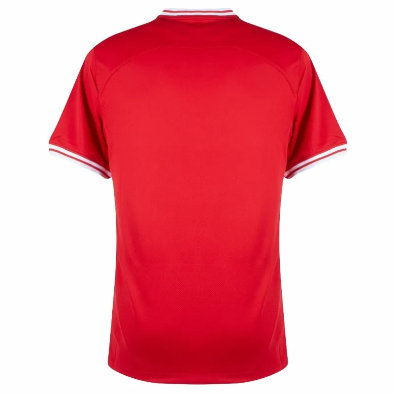 Poland's away jersey for Euro 2024 - Red