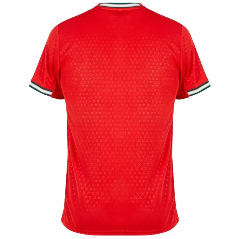 Camiseta femenina de Portugal 2025/26 Local - Rojo