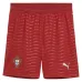 Portugal 2026/27 Home Shorts - Green