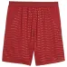 Portugal 2026/27 Home Shorts - Green