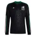 Mexico 2026/27 Third Long Sleeve World Cup Jersey