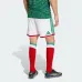 Mexico 2026/27 Home Kids Kit - Green