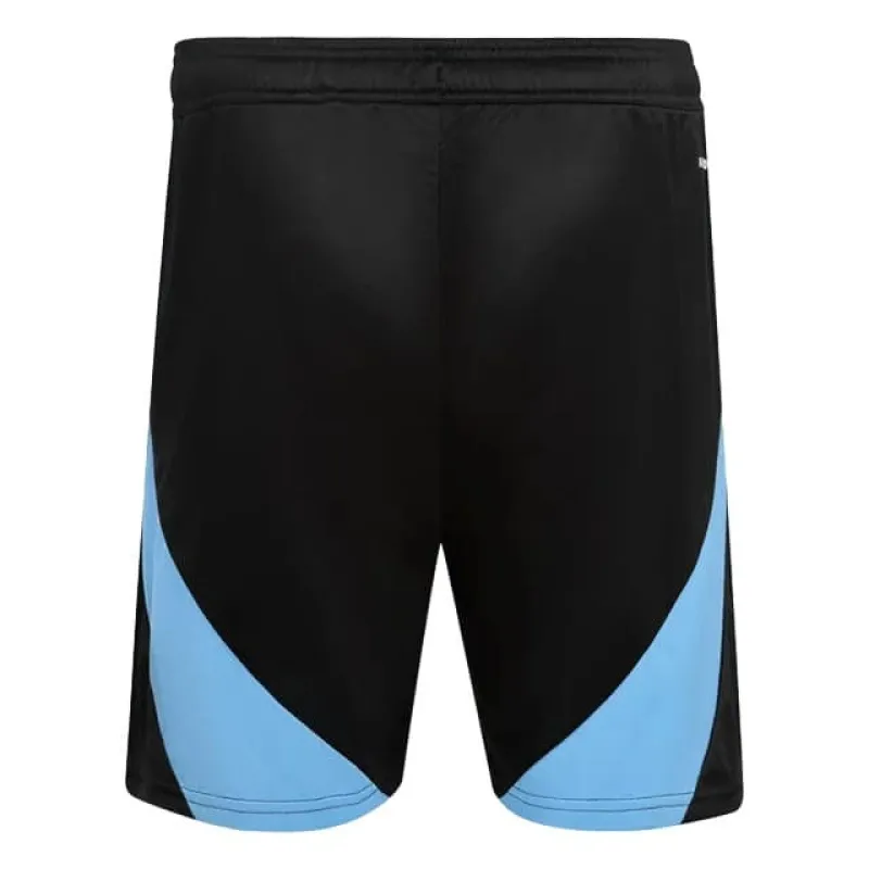Argentina 2024/25 Away Shorts - Fan Version (Black)