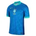 Camiseta de hincha infantil de Brasil 2024/25 (Azul)