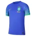 Brasilien 2022 Weltmeisterschaft Auswärtsfans-Trikot (Blau)