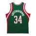 Giannis Antetokounmpo Bucks Mitchell & Ness 2013-14 HWC Retro Jersey