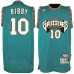 Mike Bibby. Memphis Grizzlies. Hardwood Classics. Green