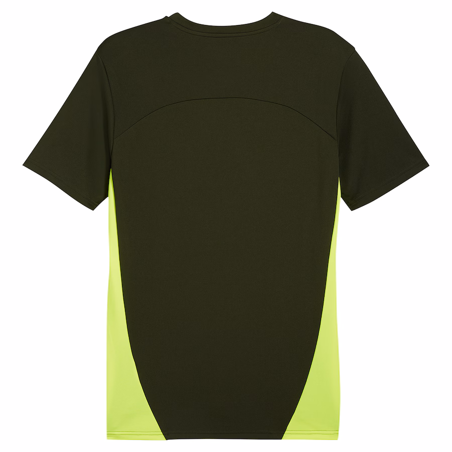 Borussia Dortmund Trainingstrikot 2024/25, grün