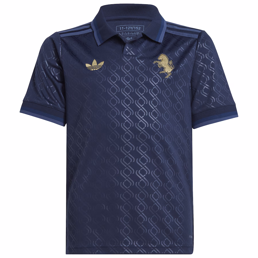 Juventus 2024/25 Third Jersey - Navy Blue