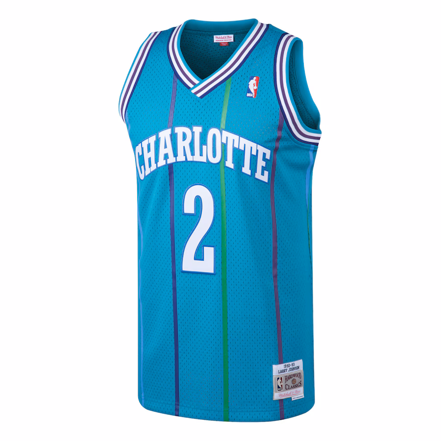 Maillot Larry Johnson Charlotte Hornets 1992/93 Mitchell & Ness Hardwood Classics